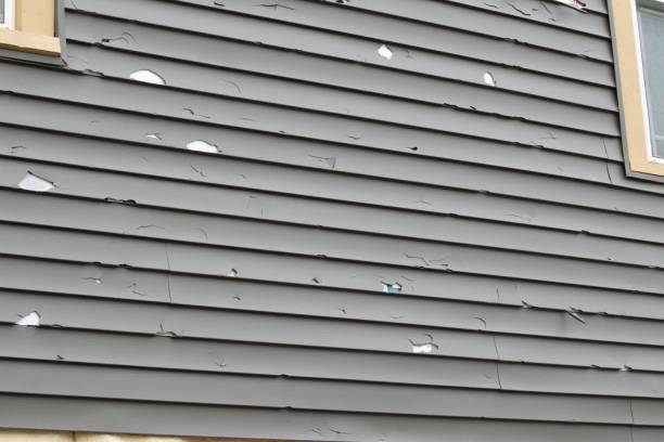 Affordable Siding Repair and Maintenance Services in Moose Lake, MN